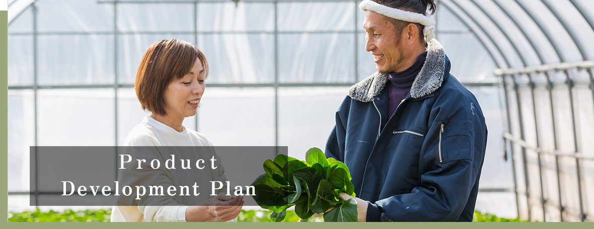 Product Development Plan